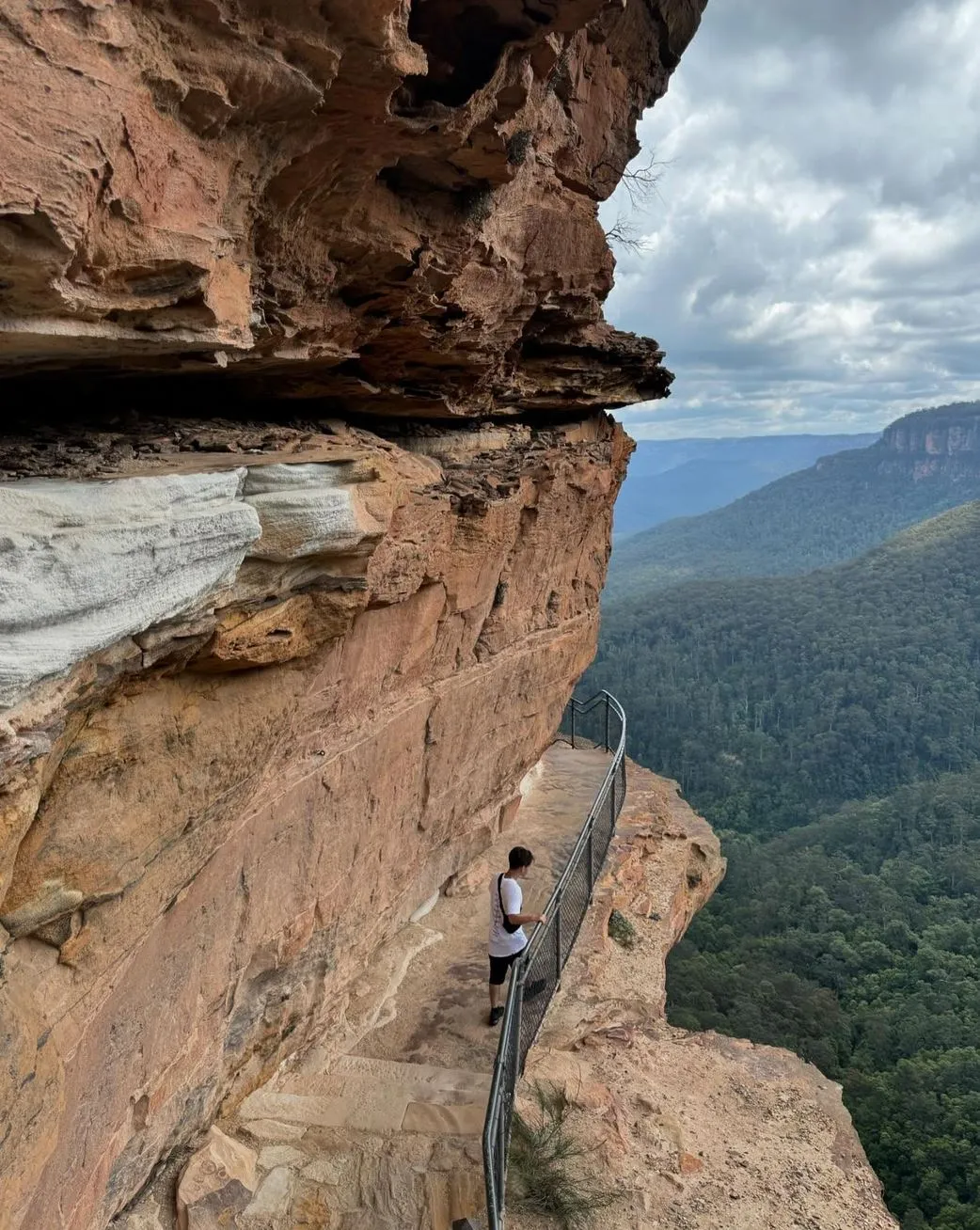 1 Day Blue Mountains Tour