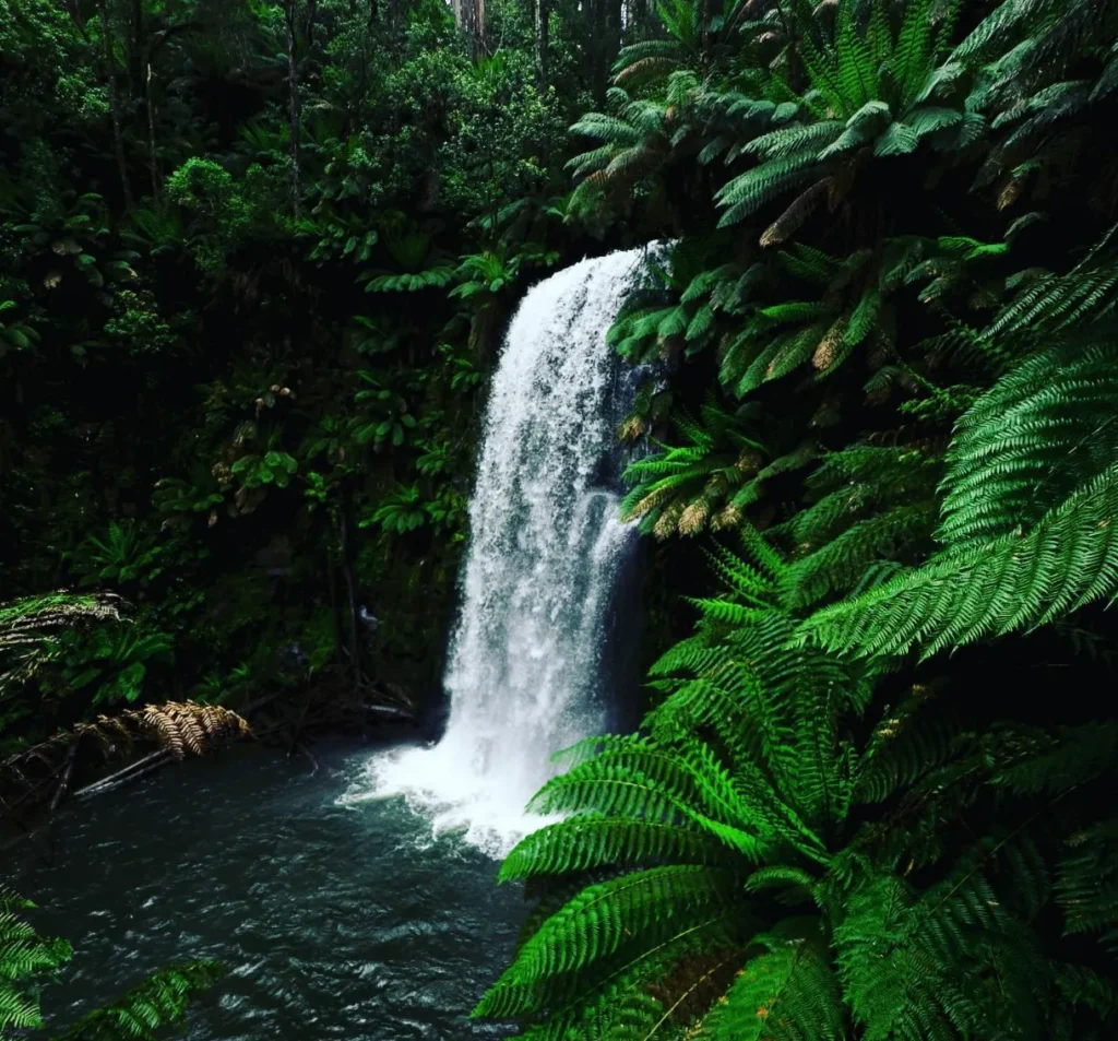 Beauchamp Falls