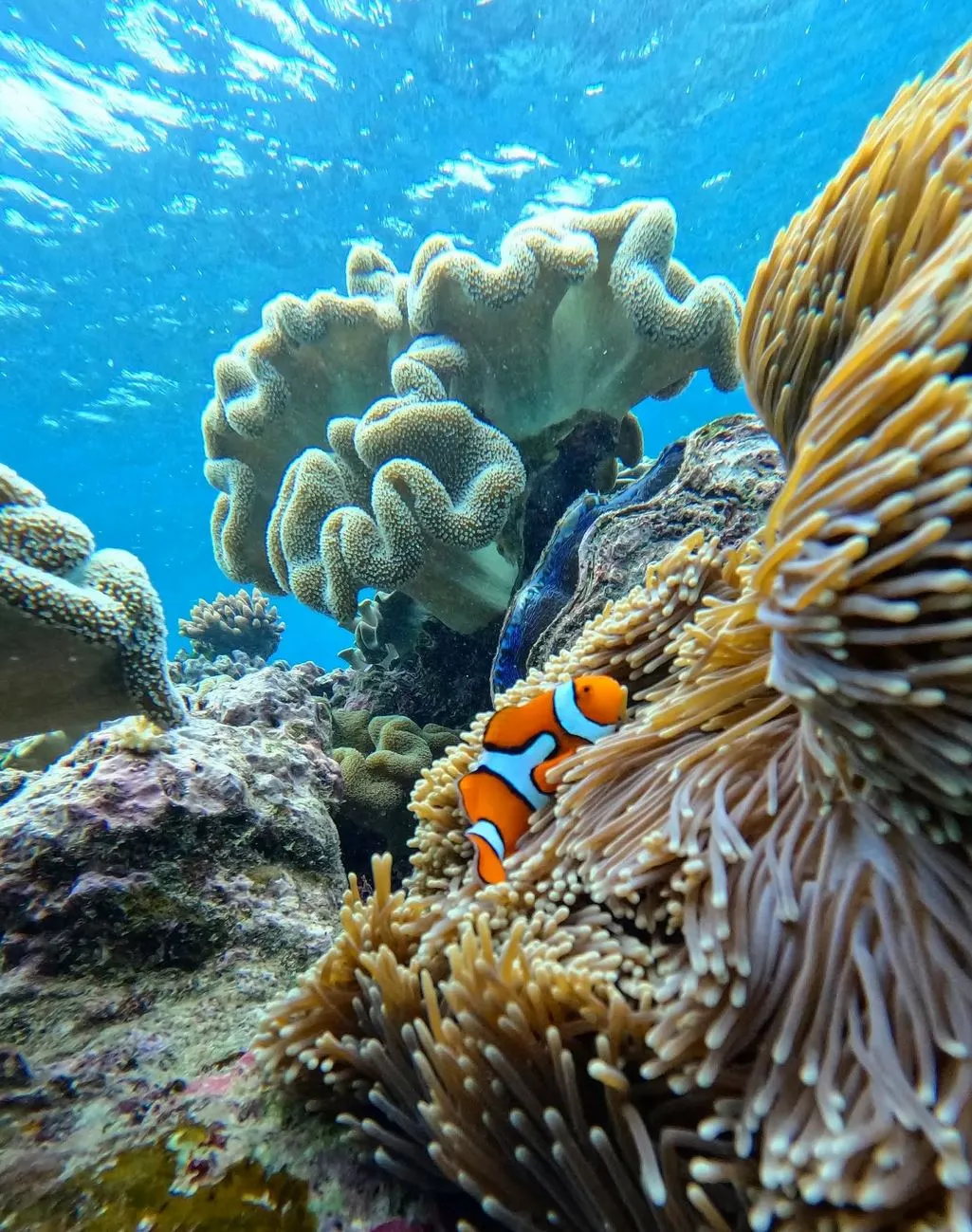 Great Barrier Reef Marine Park Authority