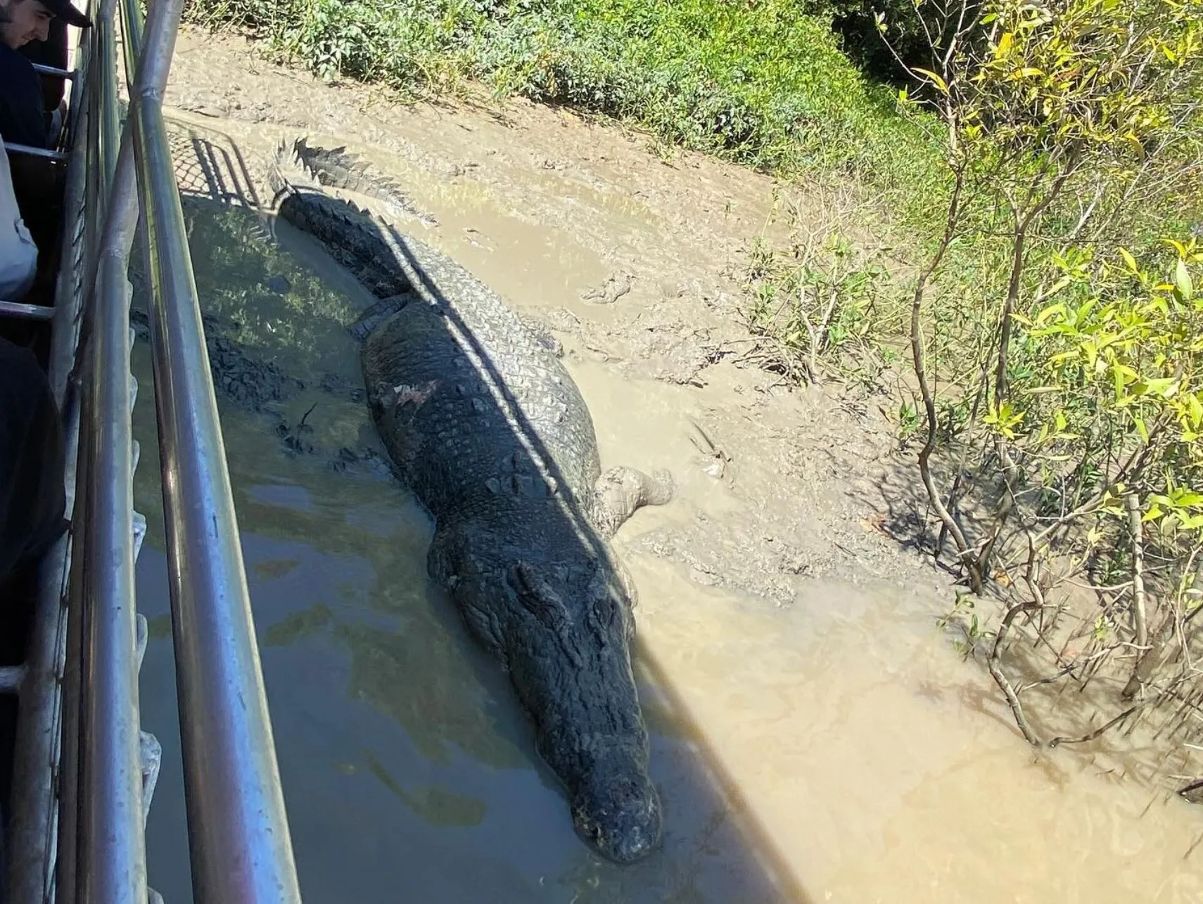 Jumping Crocodile Cruise