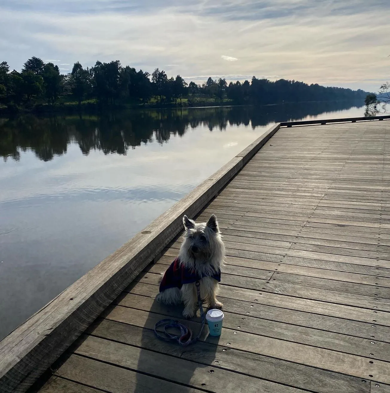 Nepean River
