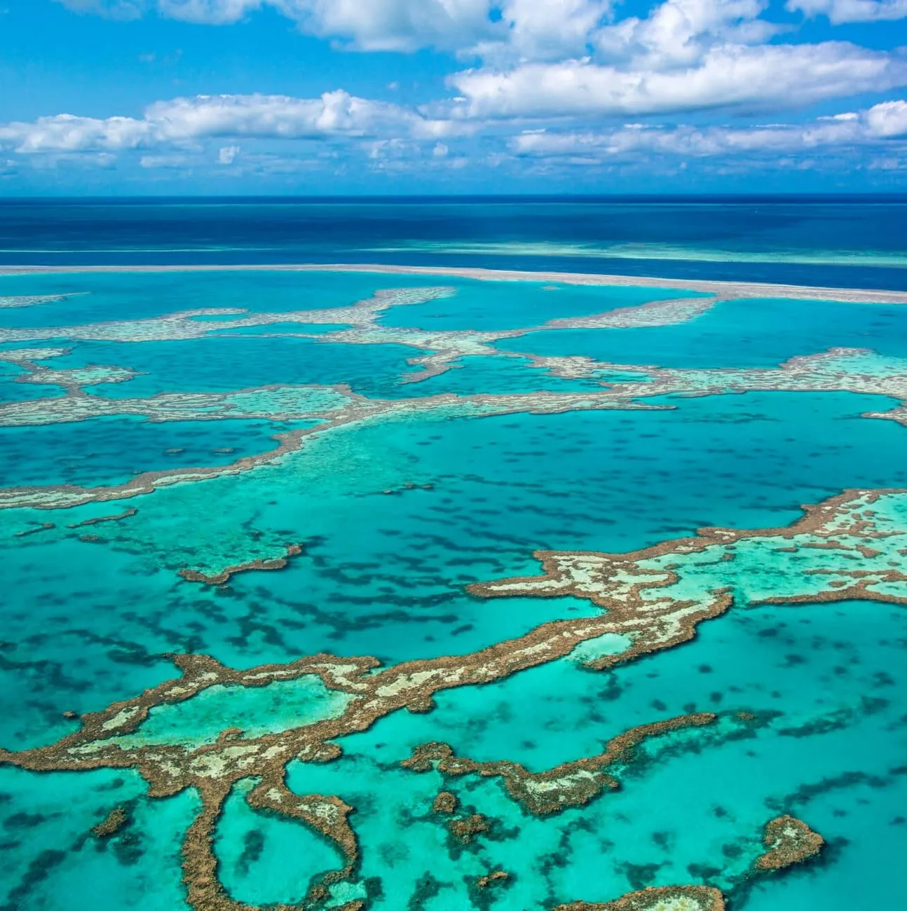 This Iconic Reef Once Sat High and Dry